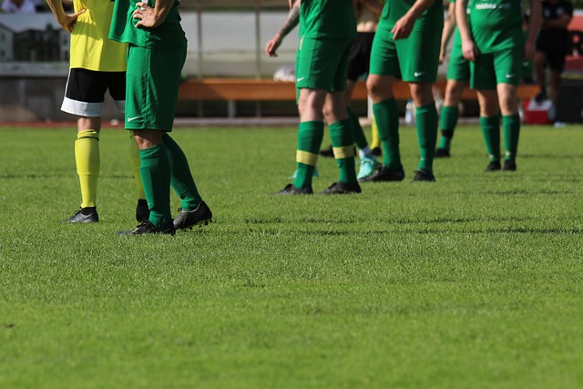 更搭建起了 更搭建起了