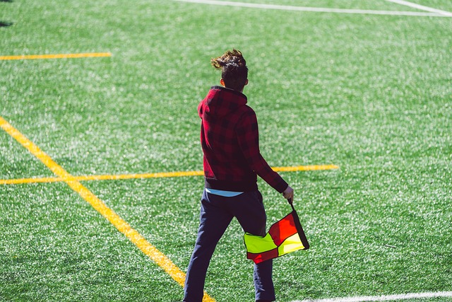 施展才华的 施展才华的