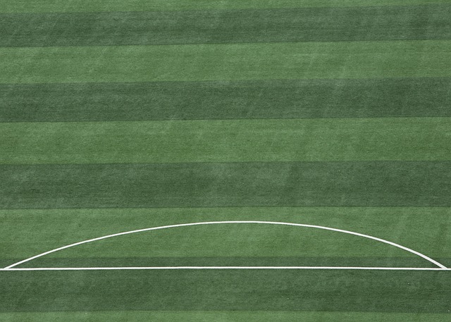 员凭借扎实 员凭借扎实