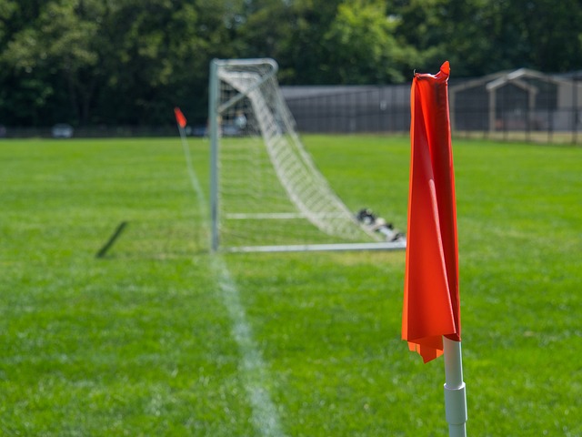 期待法甲联 期待法甲联