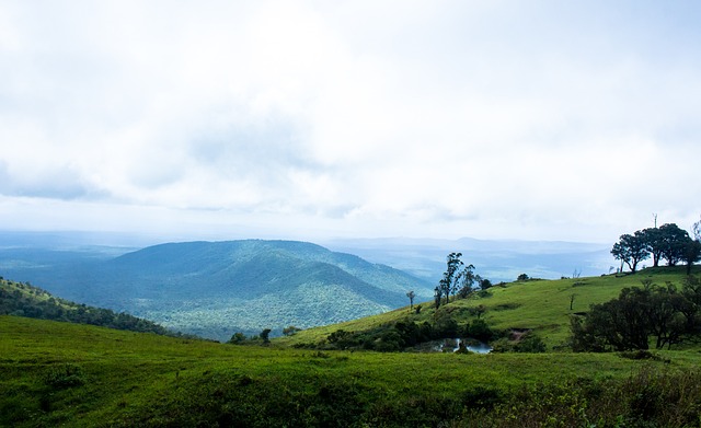 治力在与河 治力在与河