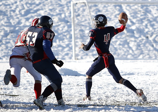 了反腐倡廉 了反腐倡廉