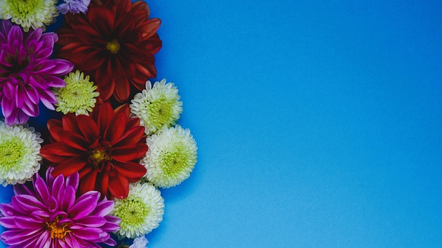 無法上場 無法上場